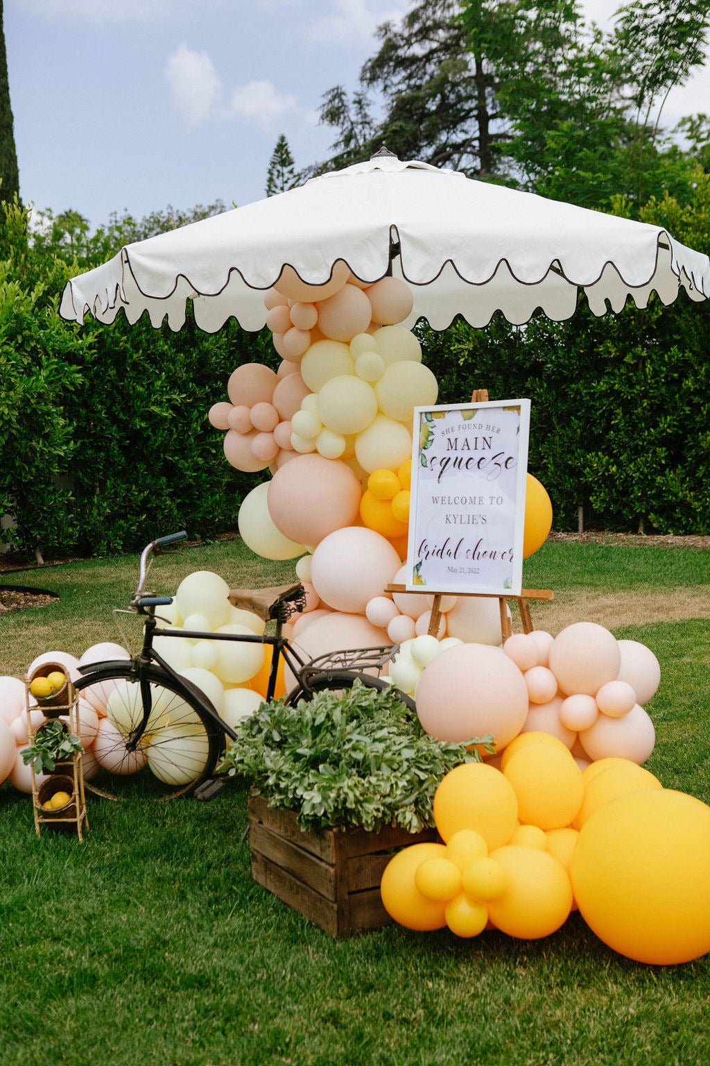 succulent balloon arch Main Squeeze Balloon Arch Kit Premium 8-10ft